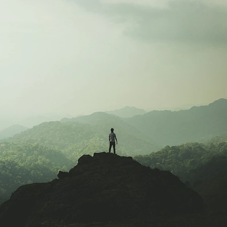 Mastering the Art of Evaluating HR Knowledge in Job Interviews