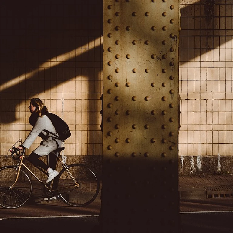 Navigating Your Career Path with Ease