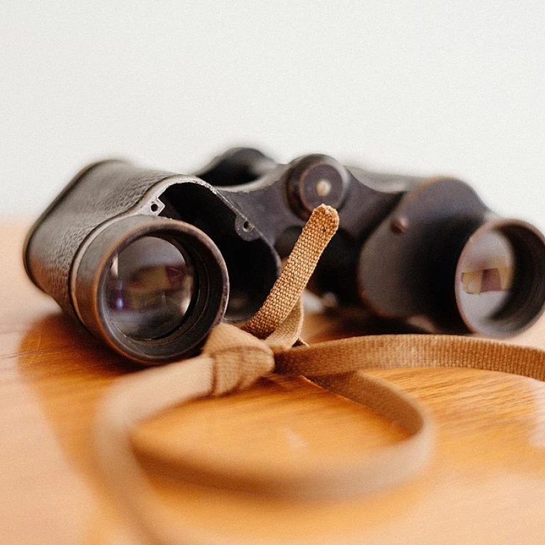 Unlocking the Potential of HRIP Certification for HR Professionals